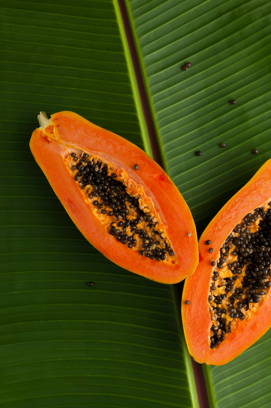 Island Papaya 10 oz scented candle