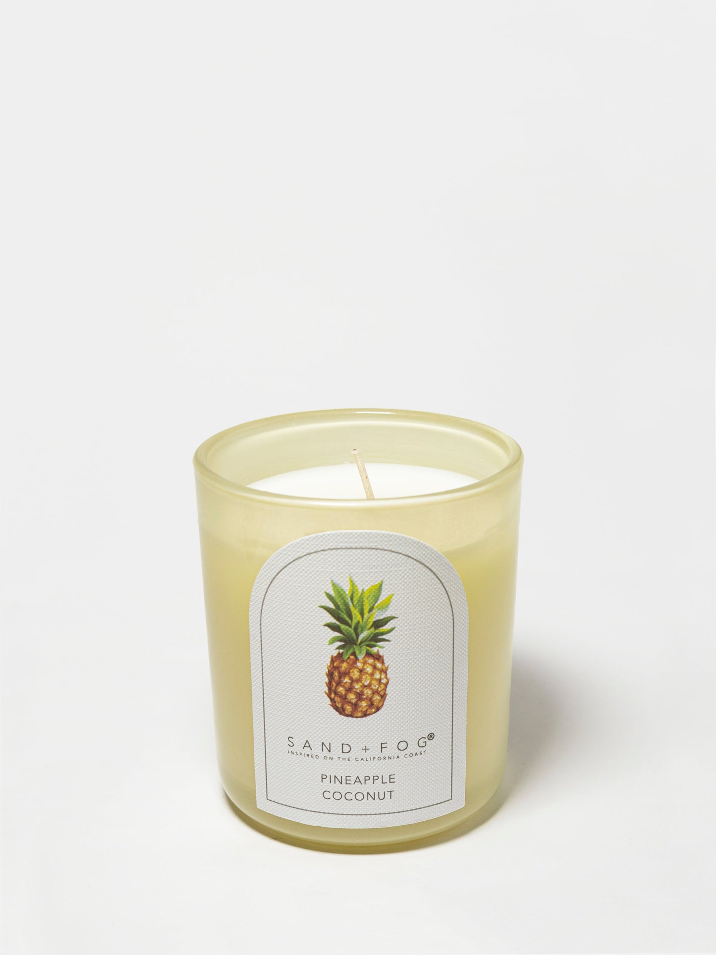 Pineapple Coconut 10 oz scented candle