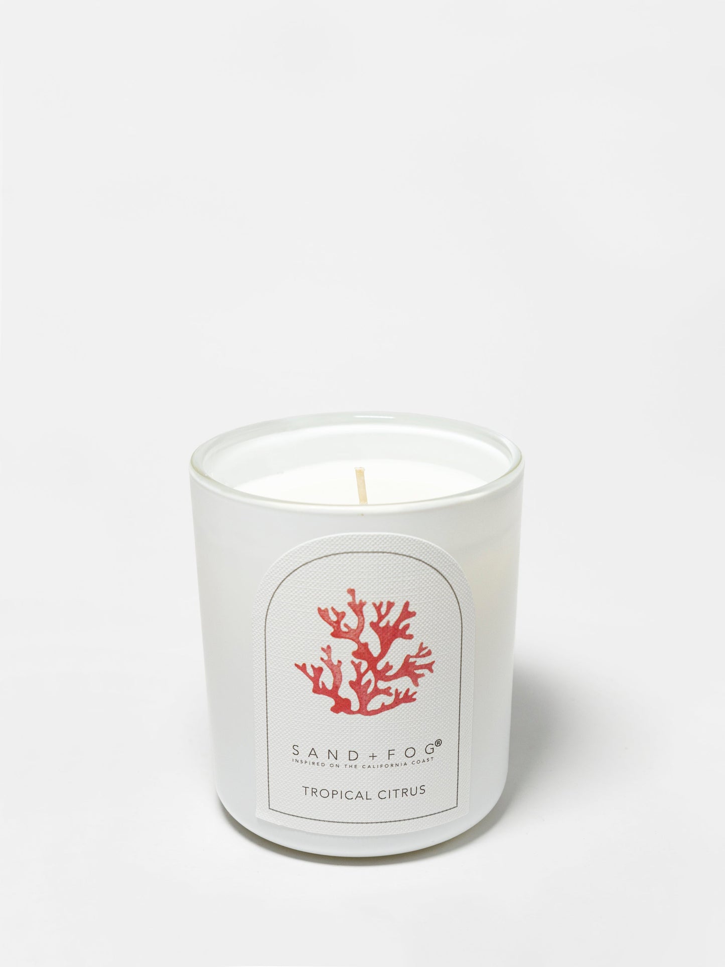 Tropical Citrus 10 oz scented candle