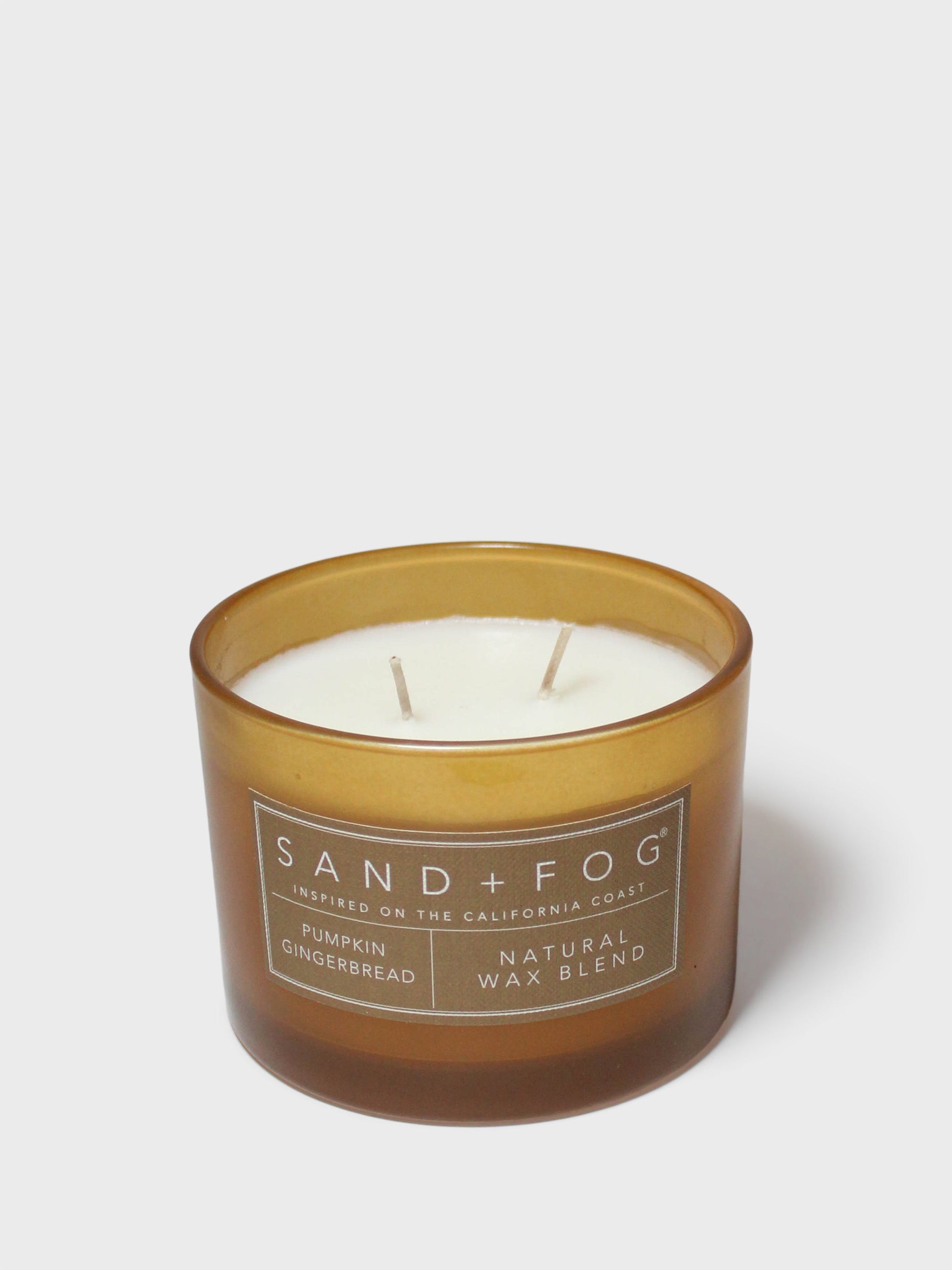 Pumpkin Gingerbread 12 oz scented candle