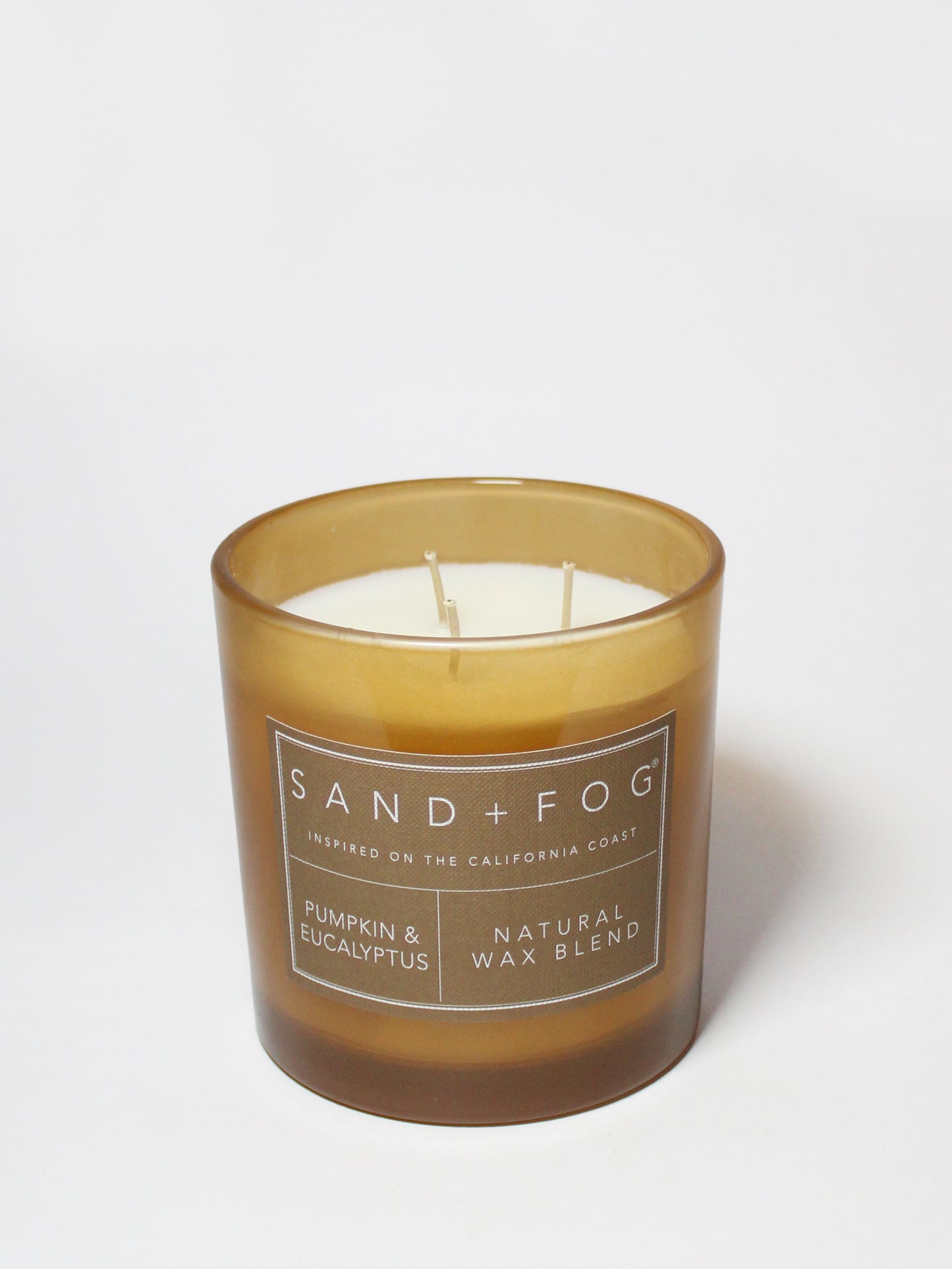 Pumpkin & Eucalyptus 21 oz scented candle