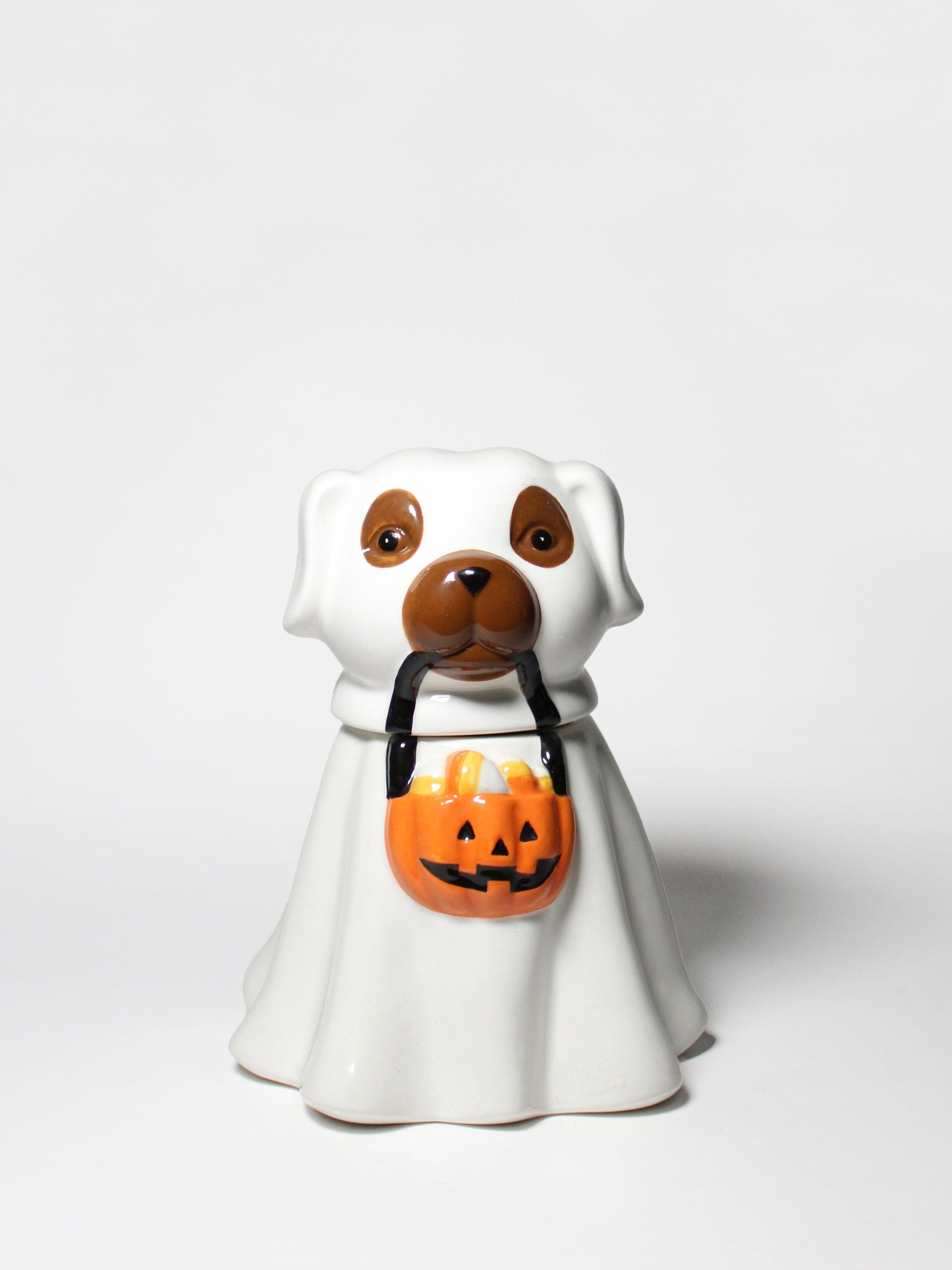 Sand + Paws Jack-o'-Lantern 11 oz scented candle