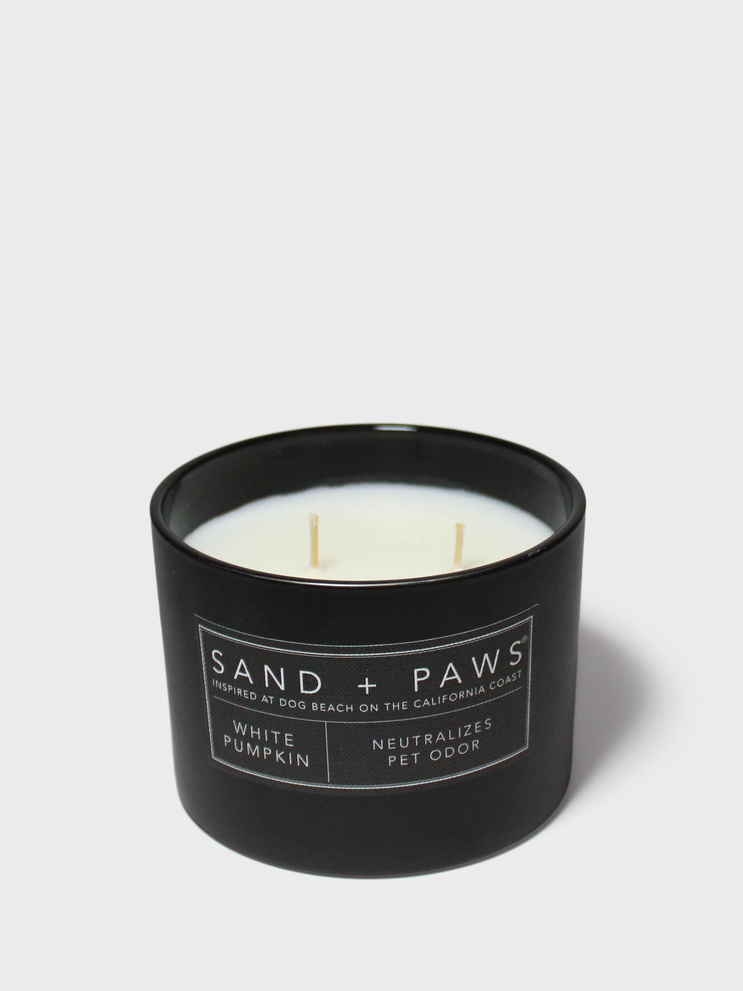 Sand + Paws White Pumpkin 12 oz scented candle