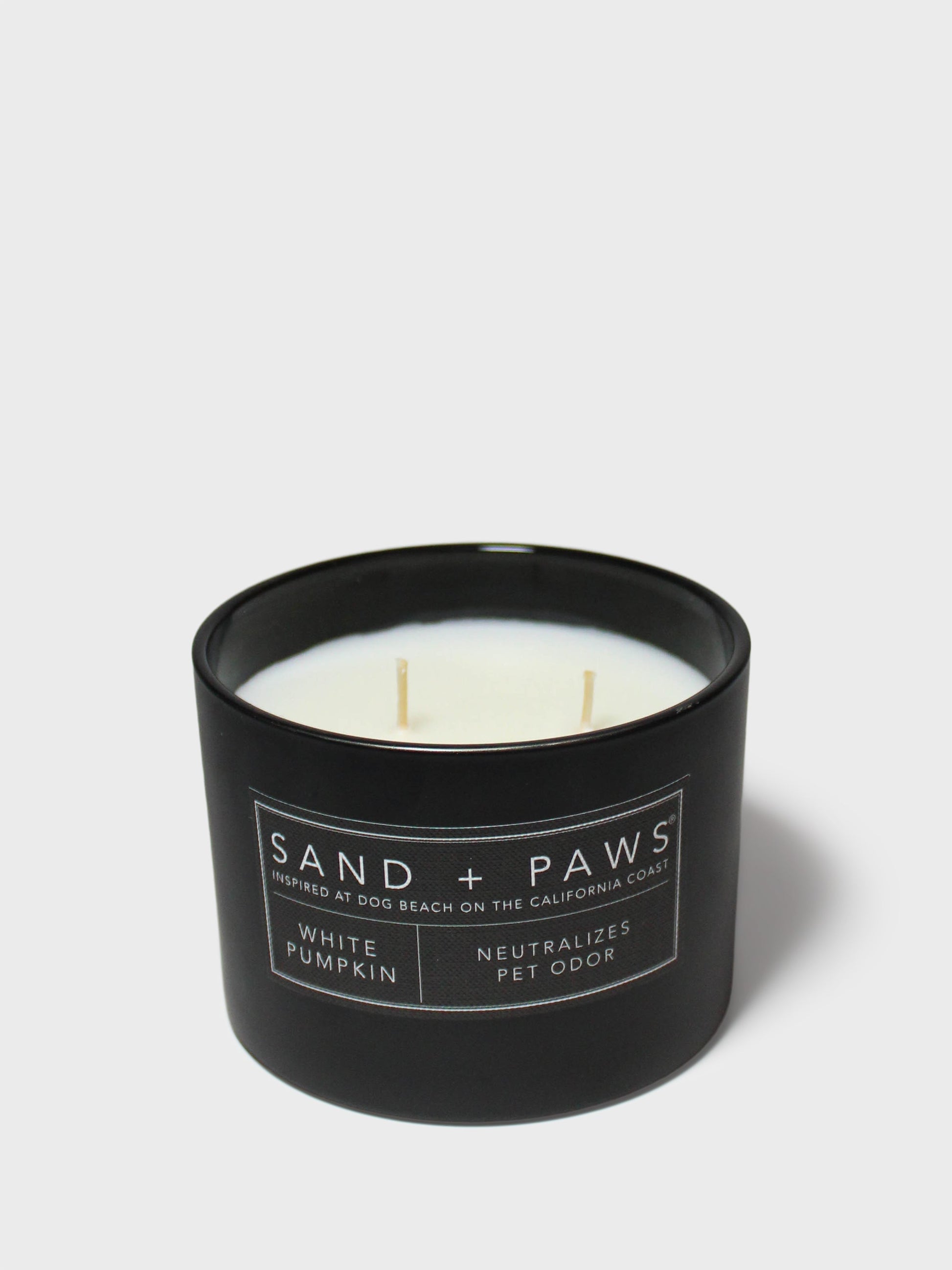 Sand + Paws White Pumpkin 12 oz scented candle