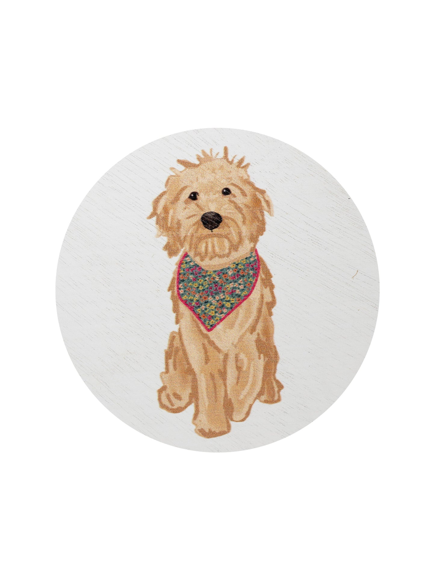 Sand + Paws Laundry Day 12 oz scented candle