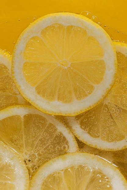 Lemon Verbena Modern Heirloom 15.2 oz Liquid Hand Soap