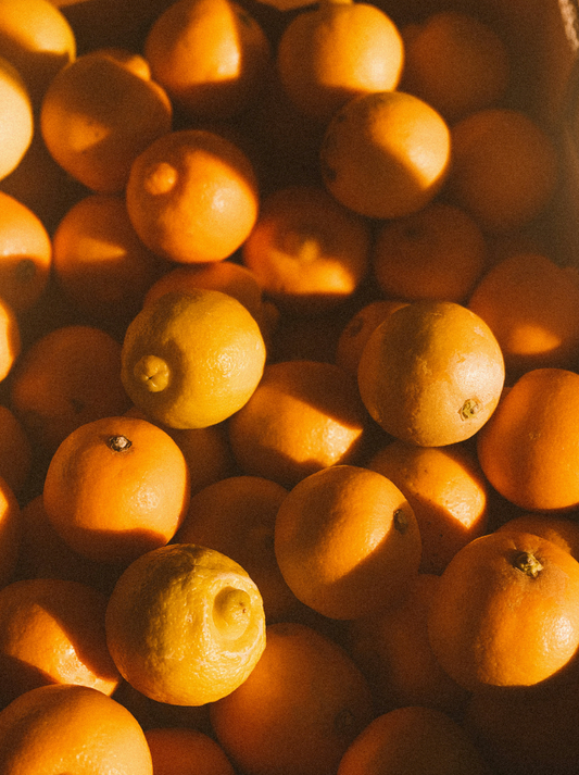 Sand + Paws Golden Citrus 12 oz scented candle