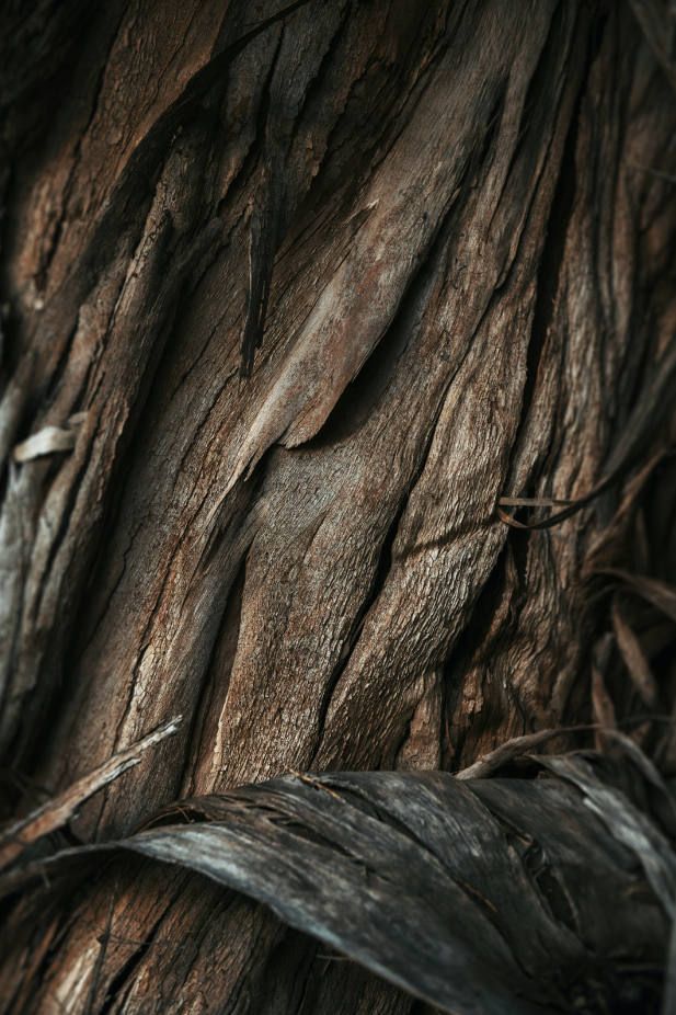 Vanilla Sandalwood 110 ml Room Spray