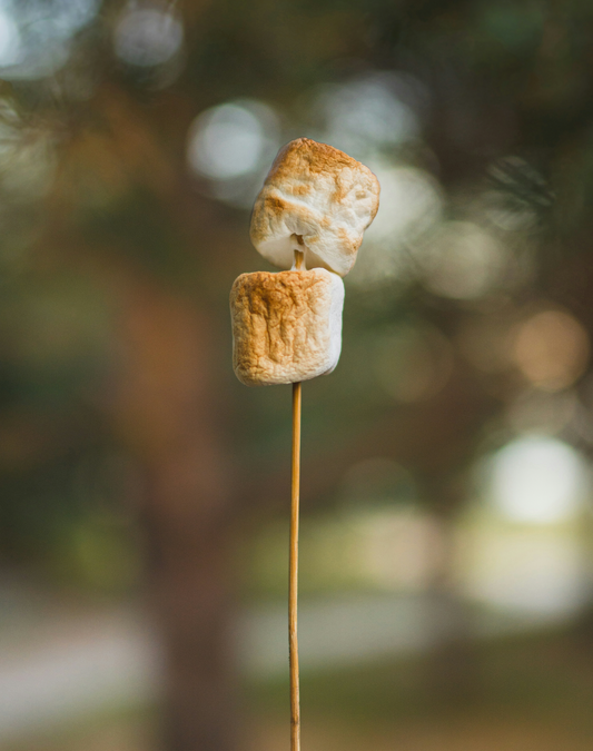 Toasted Marshmallow 50ml Perfume Oil Dropper