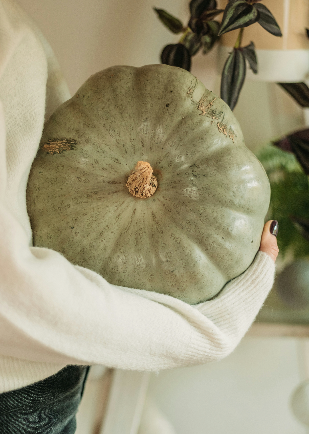 Sage Pumpkin 8.45 oz Liquid Hand Soap