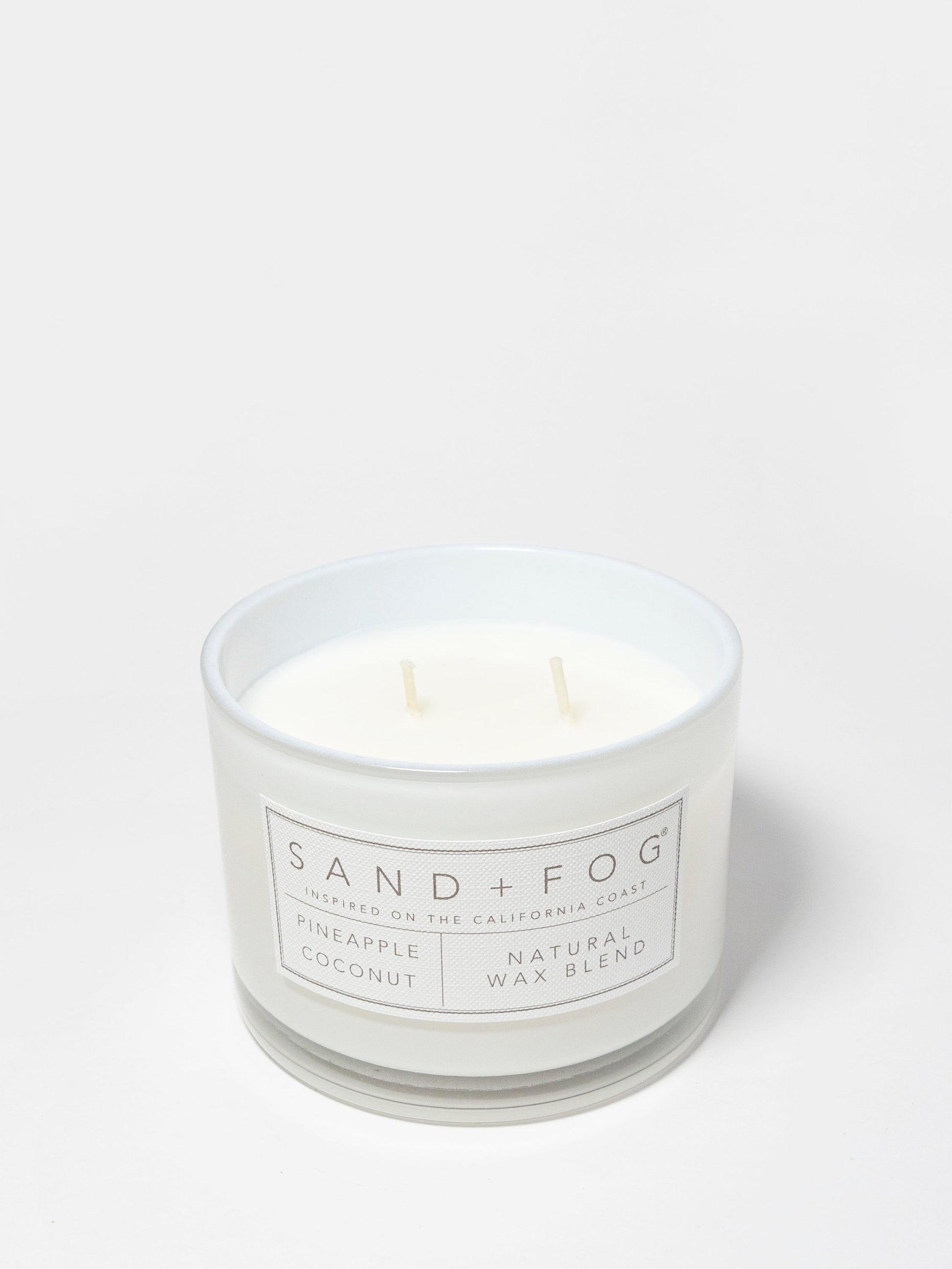 Pineapple Coconut 12 oz scented candle