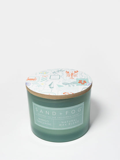 Mango Tangerine 12 oz scented candle