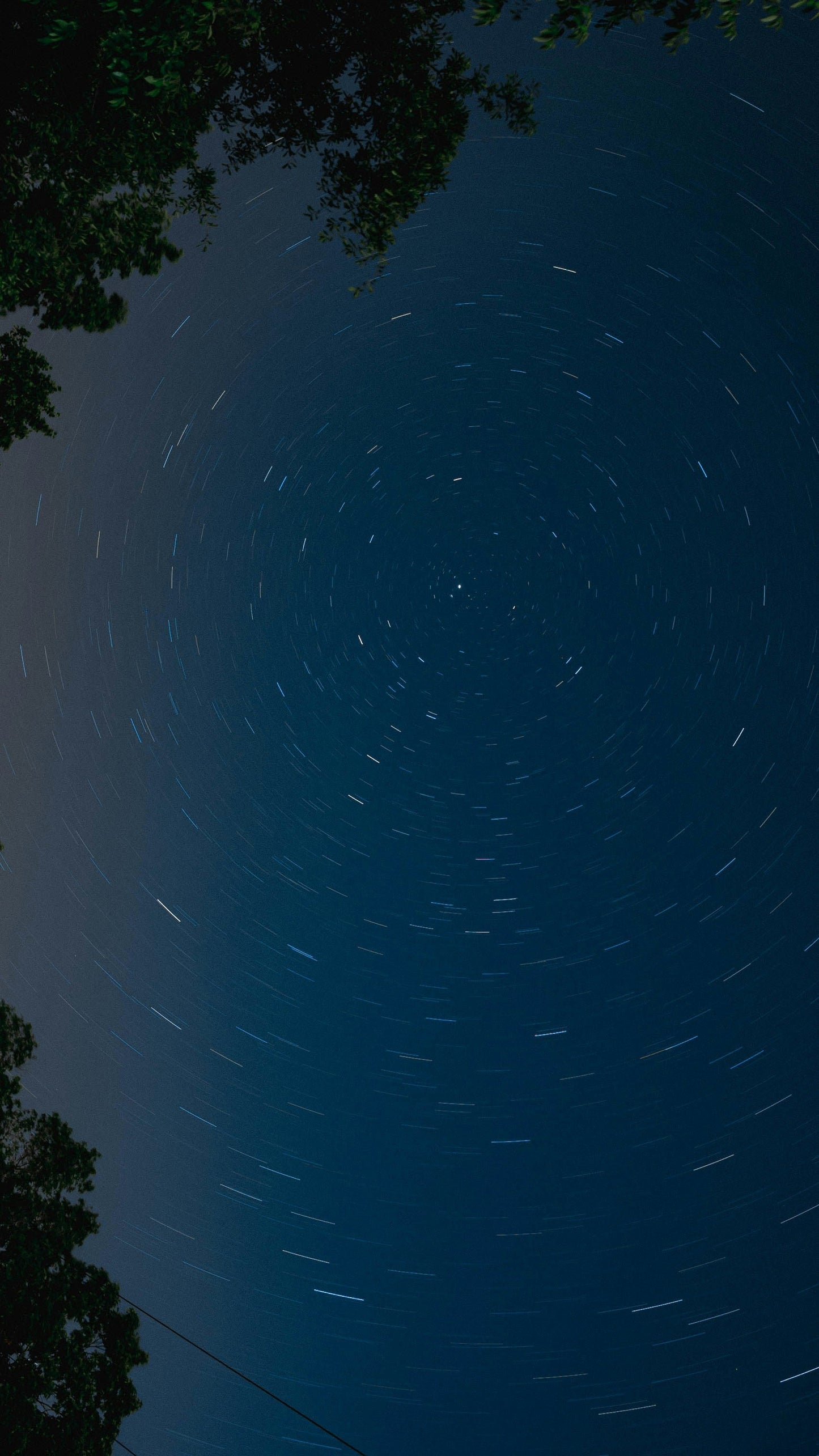 Midnight Blue 50 ml Perfume Oil Rollerball