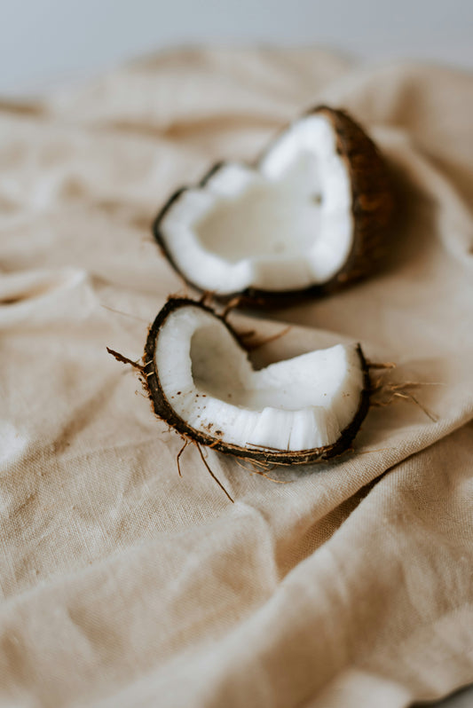 Coconut Cream 10 oz scented candle