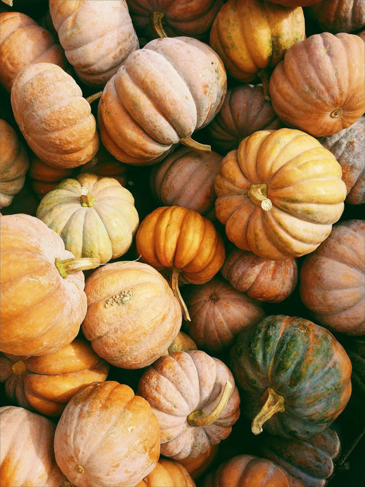 Pumpkin Harvest 15.2 oz Liquid Hand Soap