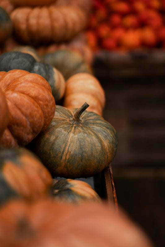 Cinnamon Pumpkin 12 oz scented candle