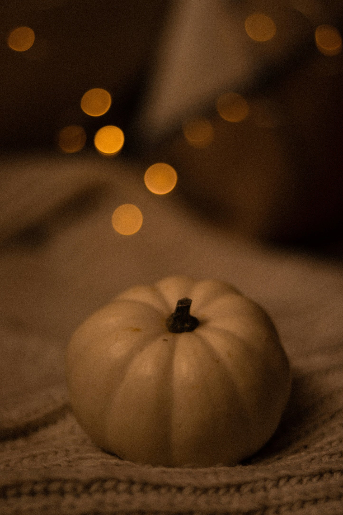 Sand + Paws Pumpkin & Vanilla 12 oz scented candle